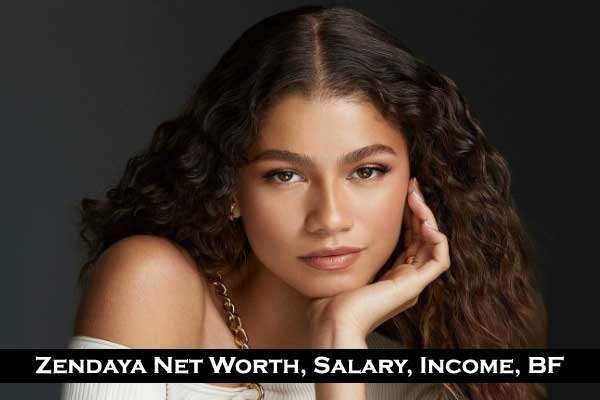 Zendaya Net Worth: Salary, BF, Parents, Age, Height, Family, Physical Appearances and Social Media