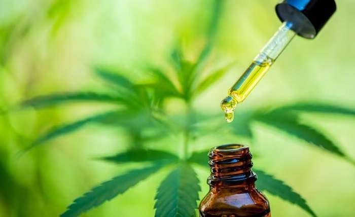 You are currently viewing Embrace Natural Healing with CBDfx CBD Oil