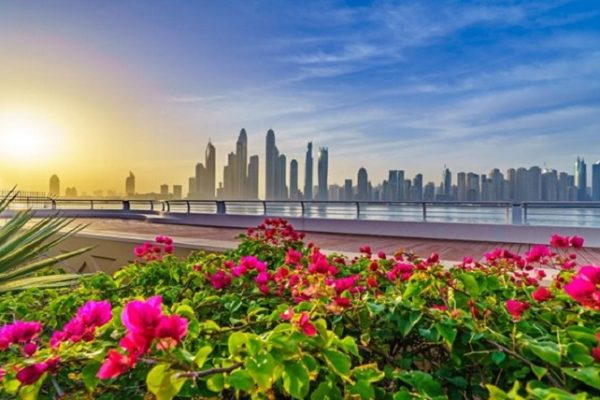 Flower Power: Blooming Trends In Dubai’s Floral Landscape For 2023