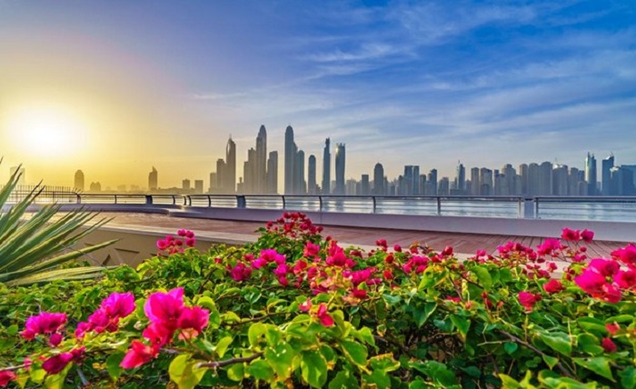 You are currently viewing Flower Power: Blooming Trends In Dubai’s Floral Landscape For 2023