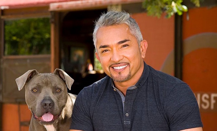 You are currently viewing Cesar Millan Net Worth: Cesar Millan Biography, Career, Income, Age and Social Media