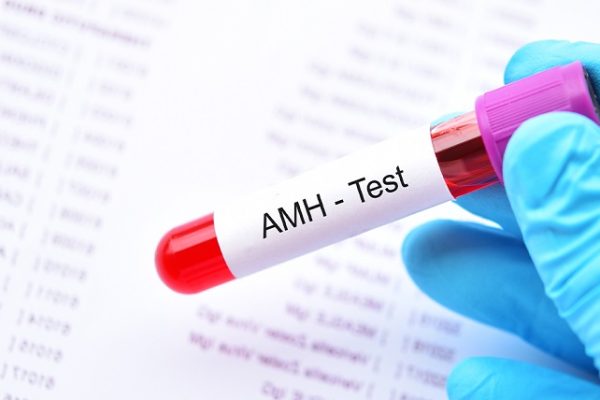 How AMH Testing Can Help Plan Your Fertility Journey