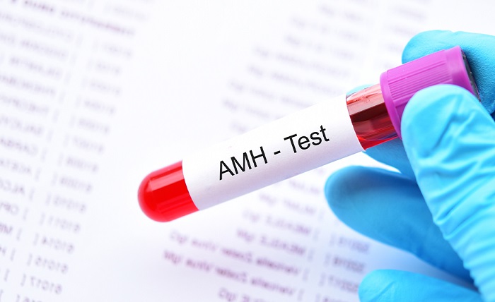 You are currently viewing How AMH Testing Can Help Plan Your Fertility Journey