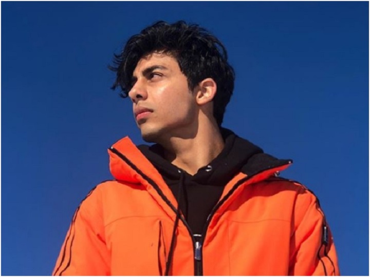 You are currently viewing Aryan Khan Net Worth: Aryan Khan Biography, Career, Family, Physical Appearances and Social Media