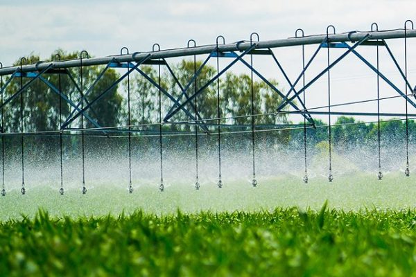 Gate Valve Manufacturer: Ensuring Efficient Water Distribution in Irrigation Systems
