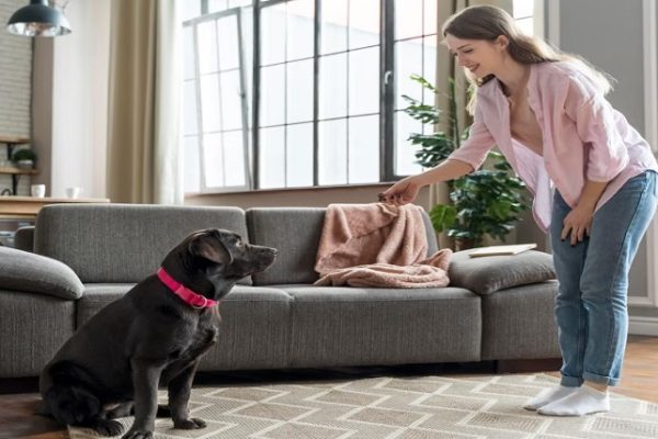 Moving with Pets: A Guide to Ensuring a Smooth Transition