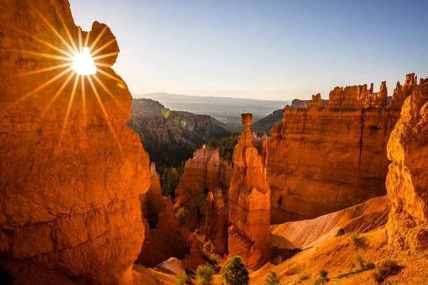Laying Down Roots: A Comprehensive Guide to Settling in Utah