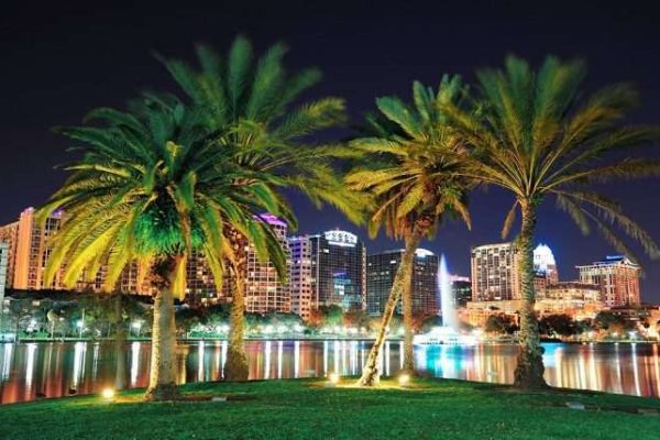 Small Wonders: Illuminating Miami’s Petite Outdoor Paradises