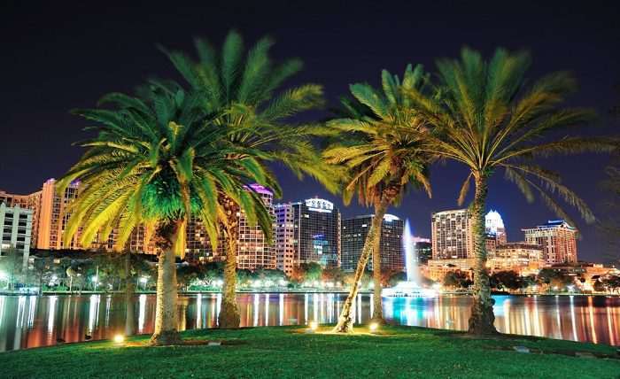 You are currently viewing Small Wonders: Illuminating Miami’s Petite Outdoor Paradises