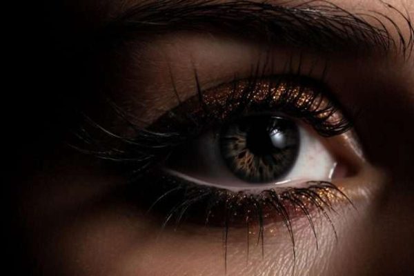 The Growing Trends in Eyebrow Transplants
