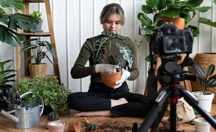 You are currently viewing Sustainable Self-Care: Nurturing Mental and Physical Wellbeing Through Home-Grown Herbal