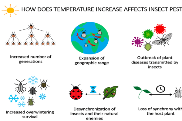 Understanding Nature’s Influence: Unraveling the Impact of Weather on Pest Infestations in Coral Springs