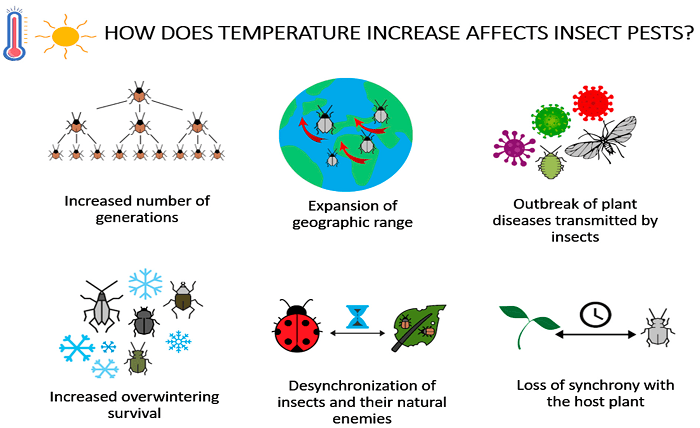 You are currently viewing Understanding Nature’s Influence: Unraveling the Impact of Weather on Pest Infestations in Coral Springs