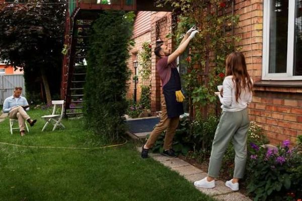 Lawn Care in Orlando Basics: What Property Owners Should Know