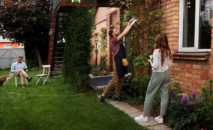 You are currently viewing Lawn Care in Orlando Basics: What Property Owners Should Know