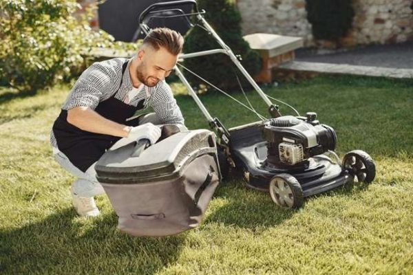 The Ultimate Handbook for Lawn Maintenance: Tips and Tricks for a Lush Green Paradise