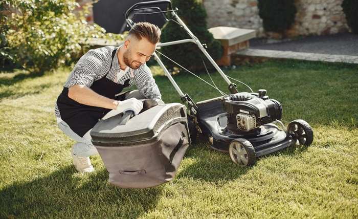 You are currently viewing The Ultimate Handbook for Lawn Maintenance: Tips and Tricks for a Lush Green Paradise