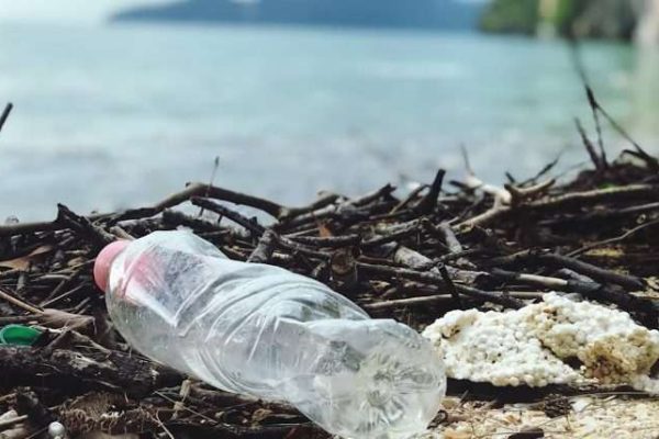 Fort Lauderdale Community Clean-Up: How You Can Make a Difference
