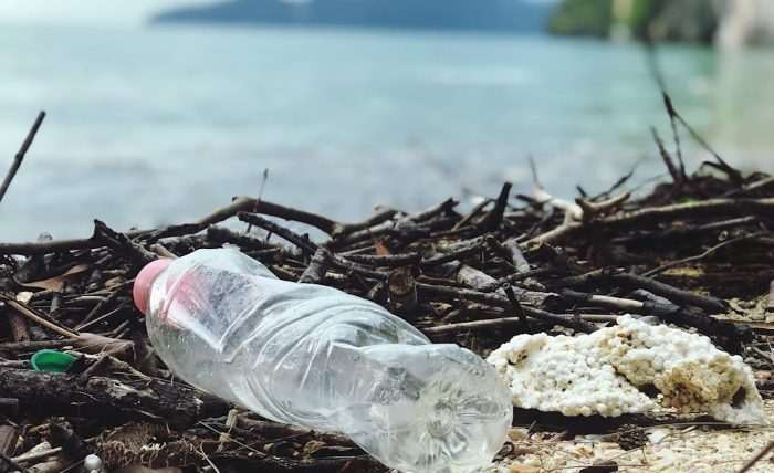 You are currently viewing Fort Lauderdale Community Clean-Up: How You Can Make a Difference