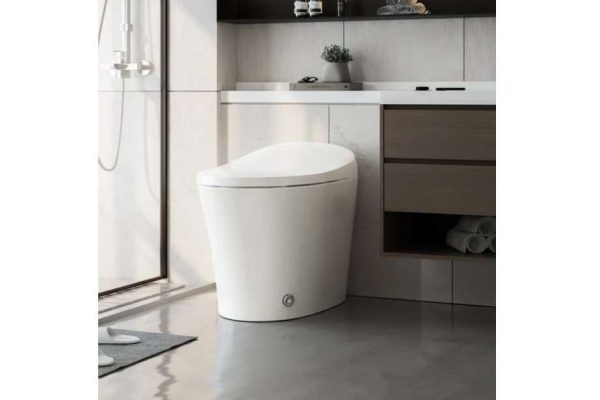 Discover the Comfort and Convenience of Horow’s Smart Toilet Bidet