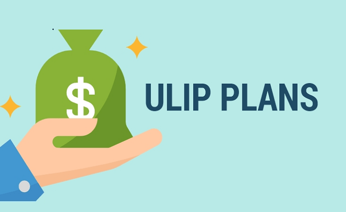 You are currently viewing 5 Reasons Why a ULIP Plan Could Be Your Ideal Life Insurance Policy