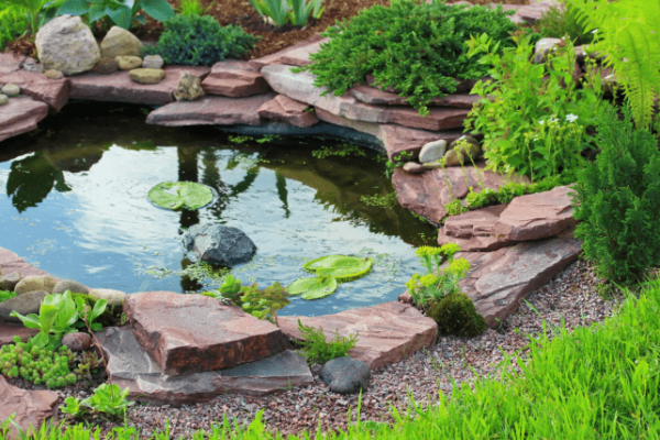 Why Choose Our Pond Company for a Stunning Water Feature?