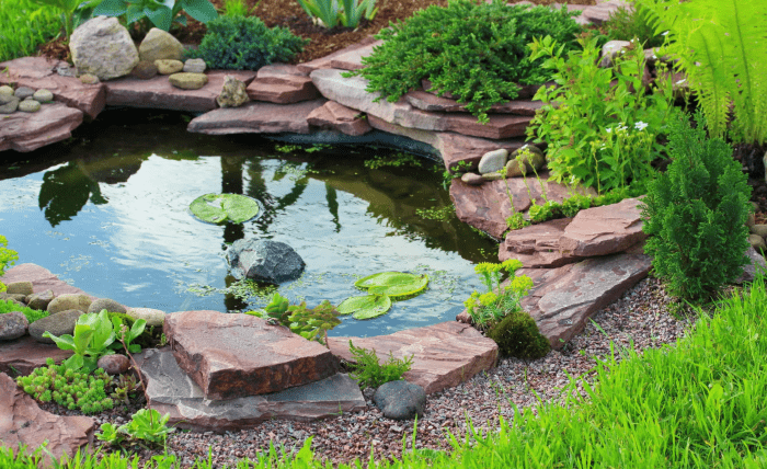 You are currently viewing Why Choose Our Pond Company for a Stunning Water Feature?