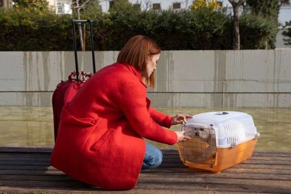 How to Move Pets Internationally: What You Need to Know