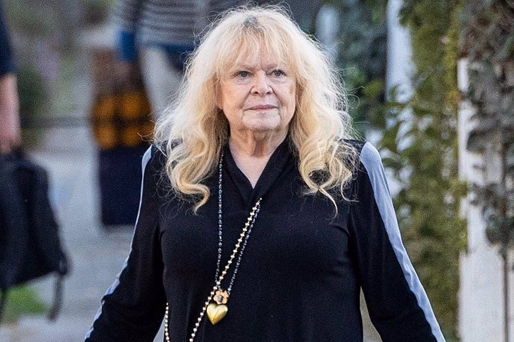 You are currently viewing Sally Struthers Net Worth: Age, Height, Weight, Wiki, Biography, Family, And More